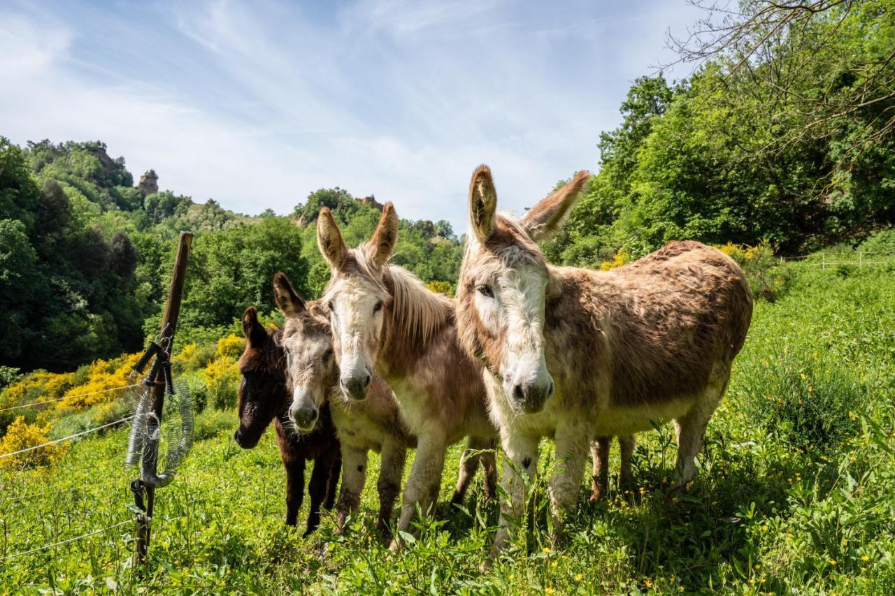 Il Giaggiolo Reggello Exterior foto
